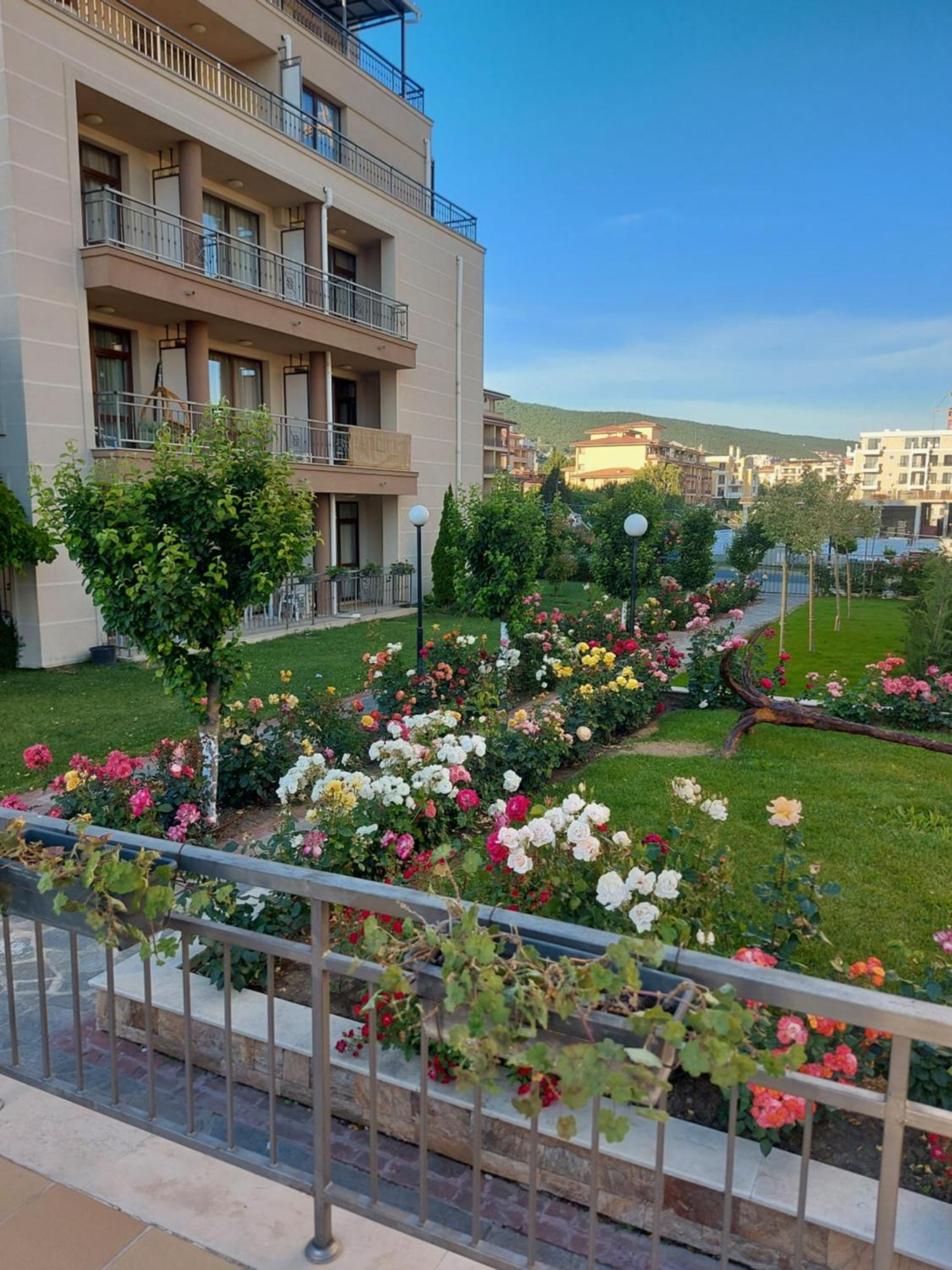 Charming Studio In Sorrento Sole Mare Sveti Vlas Buitenkant foto